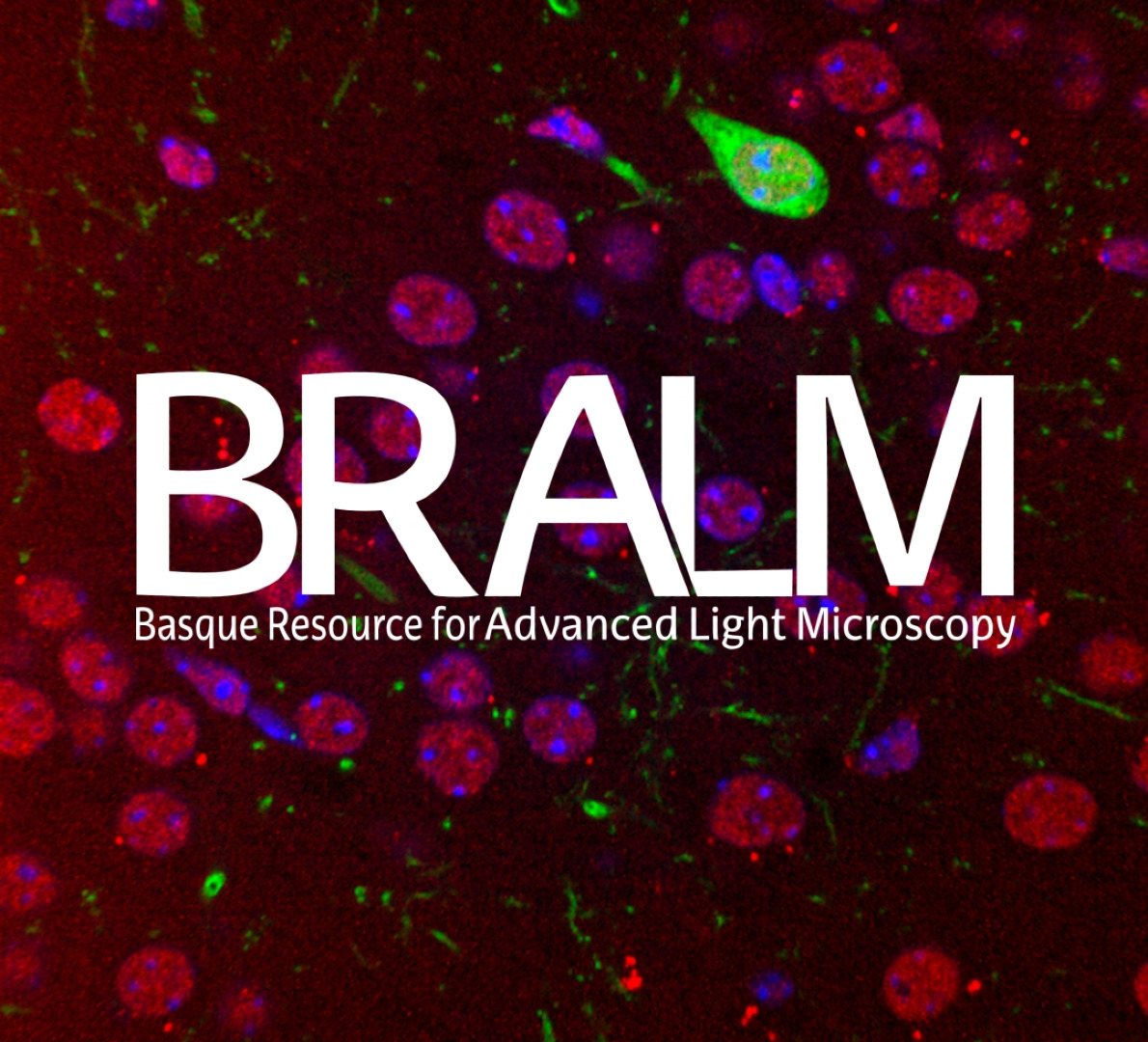 Basque Resource for Advanced Light Microscopy