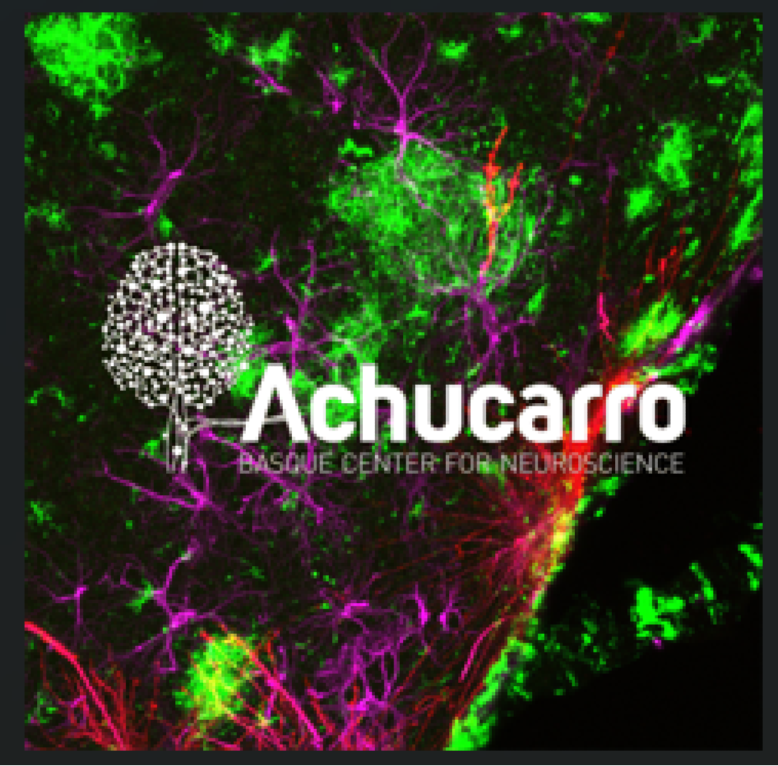 Achucarro Basque Center for Neurosciences - Imaging Facility